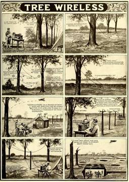 When Trees Talk