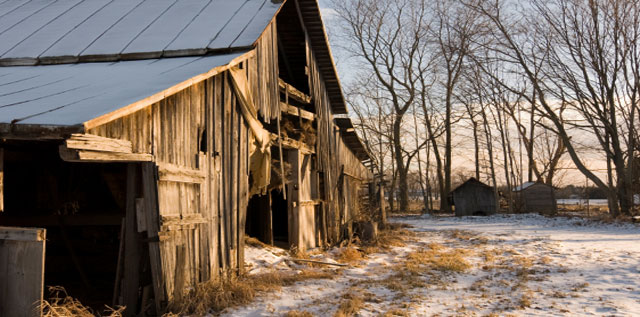 Reclaimed Wood, Where Do We Take It From Here?